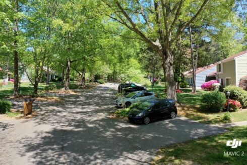 Tree-lined streets of North Bend Townhomes